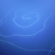 The giant siphonophore.